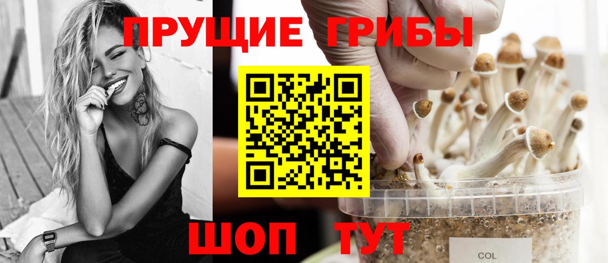 Галлюциногенные грибы Magic Shrooms  Галлюциногенные грибы Psilocybine cubensis  дарнет шоп  Екатеринбург  Вход с VPN 